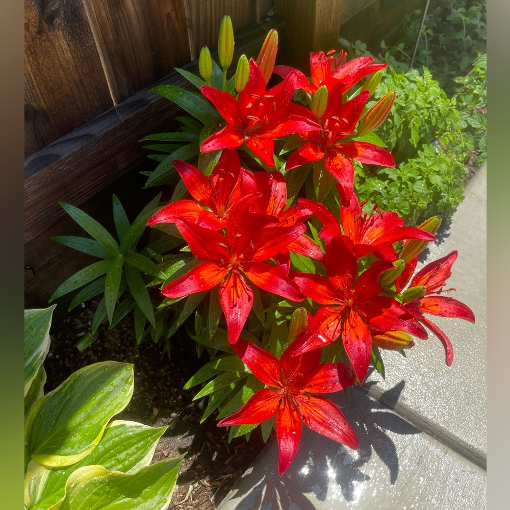 Meet your Posher, Jj